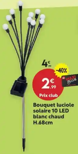 Maxi Bazar Bouquet luciole solaire 10 LED blanc chaud offre