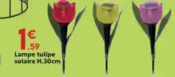 Maxi Bazar Lampe tulipe solaire offre