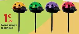 Maxi Bazar Borne solaire coccinelle offre