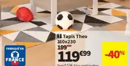 Conforama Tapis Theo offre