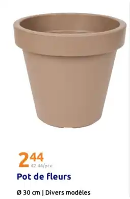 Action Pot de fleurs offre