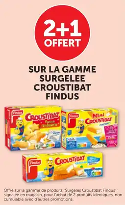 Bi1 Sur la gamme surgelee croustibat findus offre