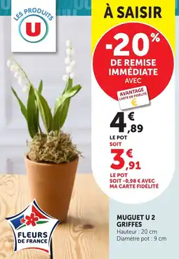 Bi1 Muguet u 2 griffes offre