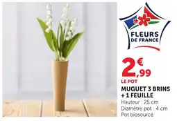Bi1 Muguet 3 brins + 1 feuille offre