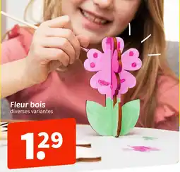 Wibra Fleur bois offre
