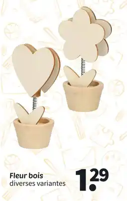 Wibra Fleur bois offre