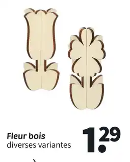 Wibra Fleur bois offre