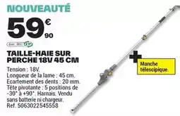 Brico Dépôt Taille-haie sur perche 18v 45 cm offre
