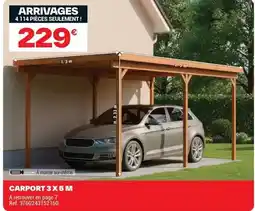 Brico Dépôt Carport 3x5 m offre
