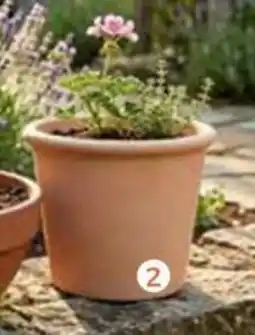 Rural Master POT CILINDRO TERRE CUITE offre