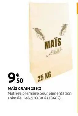 Rural Master MAÏS GRAIN offre
