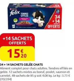 Rural Master 34+ 14 SACHETS GELÉE CHATS offre