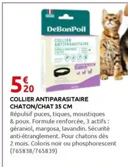 Rural Master COLLIER ANTIPARASITAIRE CHATON,CHAT offre