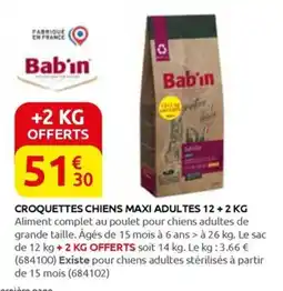 Rural Master CROQUETTES CHIENS MAXI ADULTES 12+2 KG offre