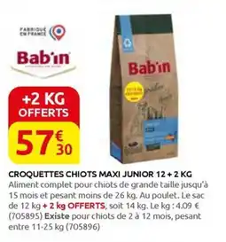 Rural Master CROQUETTES CHIOTS MAXI JUNIOR offre