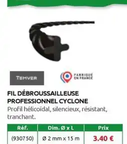 Rural Master FIL DÉBROUSSAILLEUSE PROFESSIONNEL CYCLONE offre