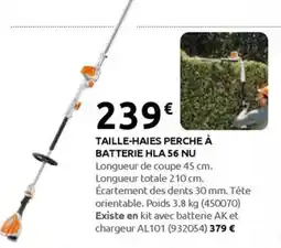 Rural Master TAILLE-HAIES PERCHE À BATTERIE HLA 56 NU offre