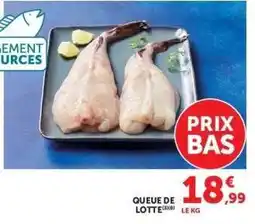Hyper U QUEUE DE LOTTE offre