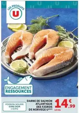 Super U Darne de Saumon Atlantique des Fjords de Norvège offre