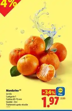 Lidl Mandarine offre