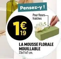 Centrakor La mousse florale mouillable offre