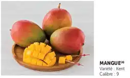 Super U Mangue offre