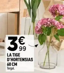 Centrakor La tige d'hortensias offre