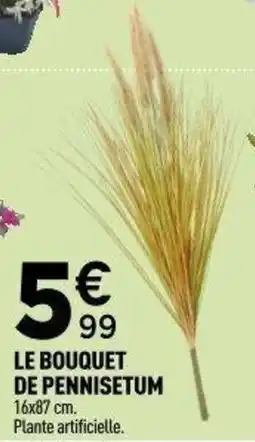 Centrakor Le bouquet de pennisetum offre