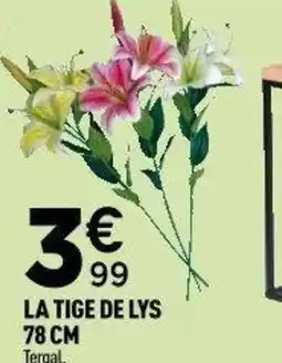 Centrakor La tige de lys offre