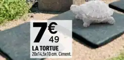 Centrakor La tortue offre