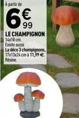 Centrakor Le champignon offre
