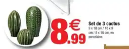 Bazarland Set de 3 cactus offre