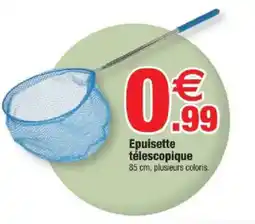 Bazarland Epuisette télescopique offre