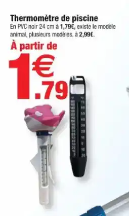 Bazarland Thermomètre de piscine offre