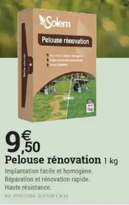 Espace emeraude Pelouse rénovation offre