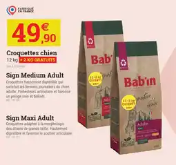 Espace emeraude Croquettes chien offre