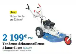 Espace emeraude Tondeuse débroussailleuse à lame offre