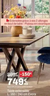 BUT Table extensible l. 160/24 cm evora offre