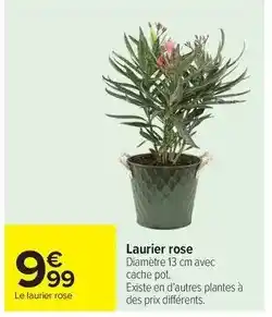 Carrefour Laurier rose offre