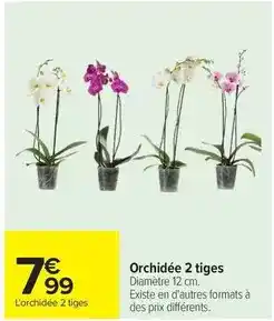 Carrefour Orchidée 2 tiges offre