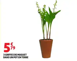 Auchan Direct 3 griffes de muguet dans un pot en terre offre