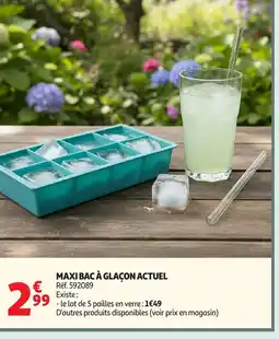 Auchan Direct ACTUEL Maxi bac à glaçon offre
