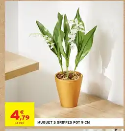 Intermarché Hyper Muguet 3 griffes pot offre