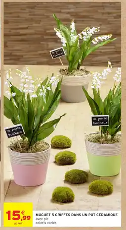 Intermarché Hyper Muguet 5 griffes dans un pot céramique offre