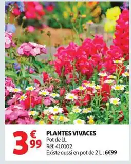Auchan Plantes Vivaces offre
