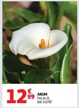 Auchan ARUM offre