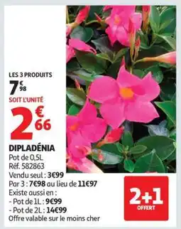 Auchan Dipladenia offre