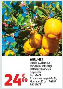 Auchan Agrumes offre
