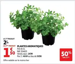 Auchan Plantes Aromatiques offre