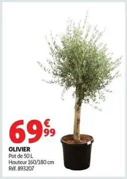 Auchan Olivier offre